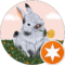 Margaret West Avatar