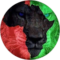 Trey Blackman Avatar