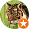 F L Avatar