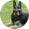 Tammy Hammond Avatar