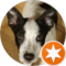Thomas VanBuskirk Avatar