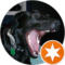 Scott Comstock Avatar