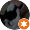 Lira Cheer Avatar
