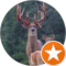 Rockn B Buck Ranch Iowa Hunter Avatar