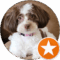 Ann Koshar Avatar