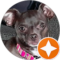 Kimberly Zimmerman Avatar