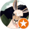 Gabrielle Gibson Avatar