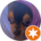 Brenda Arce Avatar