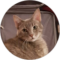 Ever Sage Avatar