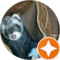 Lila Sheehan Avatar