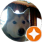 Jim W Avatar