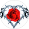 theresa anderson Avatar