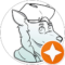 Brian Avatar