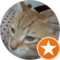 Dawn Lash (Dawnie) Avatar