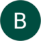 Bruce King Avatar