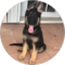 alexkankan Avatar