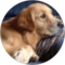 Jerry Avatar
