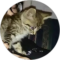 Shawnee Alexander Avatar