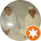 Rohit Prajapati Avatar