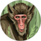 estevan mendoza Avatar