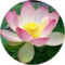 Christine s Avatar
