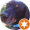 Paul Wisner Avatar