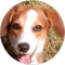 Kim Mullen Avatar