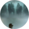 Aaron Waskom Avatar