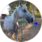 CC Olsen Avatar