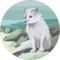 Terrence Cunningham Avatar