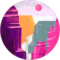 Ava Naeini Avatar