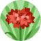 van chu Avatar