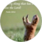 Antionette Harrison Avatar