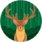 Lisa Remplewicz Avatar