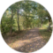 Sunny Ennis Avatar