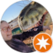 Gloria Avatar