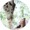Bree Miller Avatar