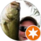 Dan Cahill Avatar