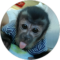 Mark Hafner Avatar