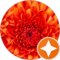 Evelyn Washchuk Avatar