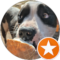 Brandie Vague Avatar