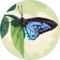 patricia Kukulski Avatar