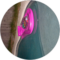 Red Wood Avatar