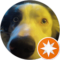 Jordan M Avatar