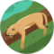 paul furr Avatar