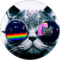 Evan Morehead Avatar