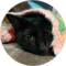 Leah Schultz Avatar