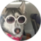 tim “updown” summer Avatar