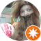 crazy rabbit lady Avatar