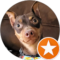 Bobbie Pulver Avatar
